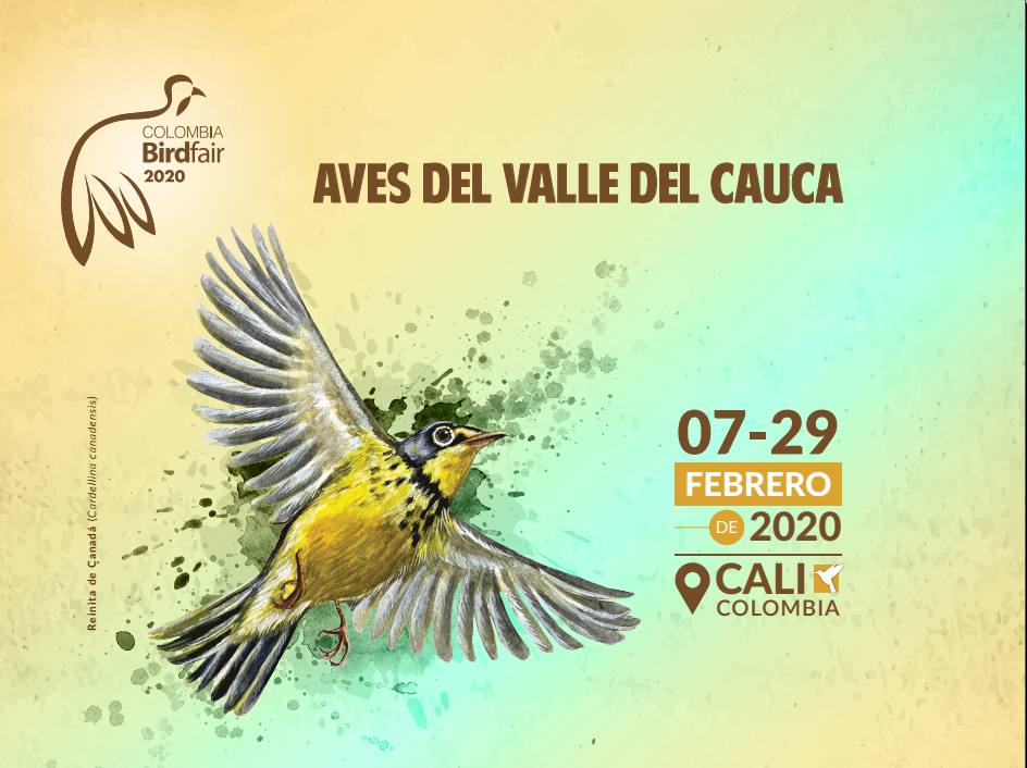 noticias-destacadas/exposicion-aves-del-valle-del-cauca-en-el-museo-de-ciencias-naturales